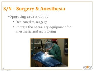 S/N – Surgery & Anesthesia
     •Operating area must be:
       • Dedicated to surgery
       • Contain the necessary equipment for
         anesthesia and monitoring




94
 