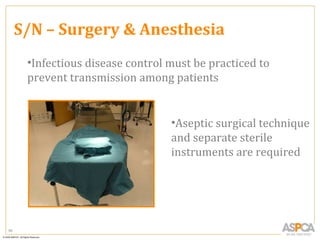 S/N – Surgery & Anesthesia
      •Infectious disease control must be practiced to
      prevent transmission among patients


                                  •Aseptic surgical technique
                                  and separate sterile
                                  instruments are required




95
 