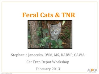 Feral Cats & TNR

Stephanie Janeczko, DVM, MS, DABVP, CAWA
Cat Trap Depot Workshop
1

February 2013

 