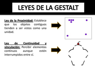 Ley de la Proximidad: Establece 
que los objetos contiguos 
tienden a ser vistos como una 
unidad. 
Ley de Continuidad y 
vinculación: Percibir elementos 
continuos aunque estén 
interrumpidos entre sí. 
 