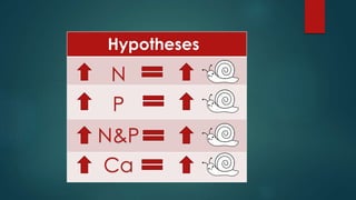 Hypotheses 
N 
P 
N&P 
Ca 
 