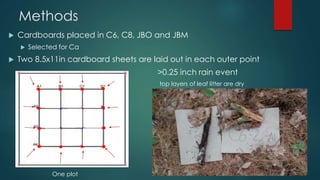 Methods 
 Cardboards placed in C6, C8, JBO and JBM 
 Selected for Ca 
 Two 8.5x11in cardboard sheets are laid out in each outer point 
>0.25 inch rain event 
top layers of leaf litter are dry 
One plot 
 