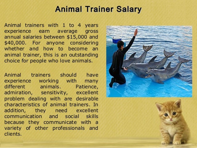 Stephanie Taunton - Tips To Become An Animal Trainer