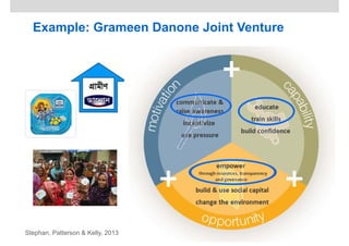 Example: Grameen Danone Joint Venture
Stephan, Patterson & Kelly, 2013
 
