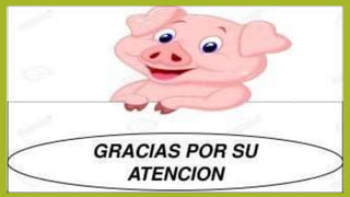 STEPHANURUS DENTATUS.pptx