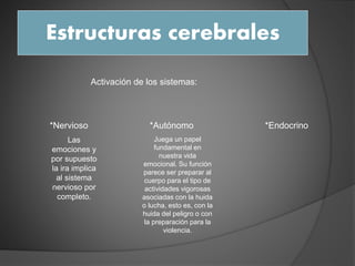 Estructuras cerebrales
*Nervioso *Autónomo *Endocrino
Activación de los sistemas:
Juega un papel
fundamental en
nuestra vida
emocional. Su función
parece ser preparar al
cuerpo para el tipo de
actividades vigorosas
asociadas con la huida
o lucha, esto es, con la
huida del peligro o con
la preparación para la
violencia.
Las
emociones y
por supuesto
la ira implica
al sistema
nervioso por
completo.
 