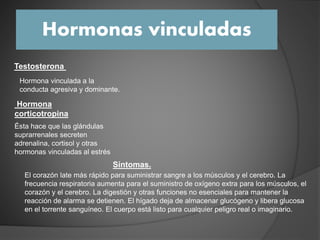 Hormonas vinculadas
Testosterona
Hormona vinculada a la
conducta agresiva y dominante.
Hormona
corticotropina
Ésta hace que las glándulas
suprarrenales secreten
adrenalina, cortisol y otras
hormonas vinculadas al estrés
Síntomas.
El corazón late más rápido para suministrar sangre a los músculos y el cerebro. La
frecuencia respiratoria aumenta para el suministro de oxígeno extra para los músculos, el
corazón y el cerebro. La digestión y otras funciones no esenciales para mantener la
reacción de alarma se detienen. El hígado deja de almacenar glucógeno y libera glucosa
en el torrente sanguíneo. El cuerpo está listo para cualquier peligro real o imaginario.
 