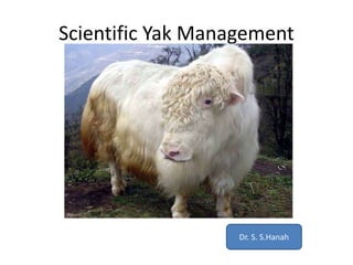 Scientific Yak Management
Dr. S. S.Hanah
 