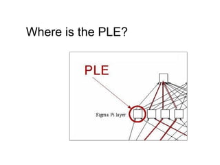 Where is the PLE? 