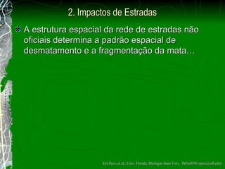 2.  Impactos de Estradas A estrutura espacial da rede de estradas n ão  oficiais determina a padr ão  espacial de desmatamento e a fragmenta ção  da mata…  S.G.Perz, et al., Univ. Florida, Michigan State Univ,  IMAZON (sperz@ufl.edu) 