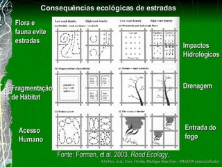 Consequ ê ncias ecológicas de estradas Flora e fauna evite estradas Fragmenta ção  de Hábitat Acesso Humano Drenagem Impactos Hidrológicos Entrada do fogo Fonte: Forman, et al. 2003.  Road Ecology. S.G.Perz, et al., Univ. Florida, Michigan State Univ,  IMAZON (sperz@ufl.edu) 