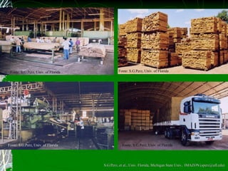 Fonte: S.G.Perz, Univ. of Florida Fonte: S.G.Perz, Univ. of Florida Fonte: S.G.Perz, Univ. of Florida Fonte: S.G.Perz, Univ. of Florida S.G.Perz, et al., Univ. Florida, Michigan State Univ,  IMAZON (sperz@ufl.edu) 