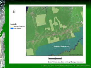 Fonte: Walker, et al., Dept. of Geog, Michigan State Univ. S.G.Perz, et al., Univ. Florida, Michigan State Univ,  IMAZON (sperz@ufl.edu) 