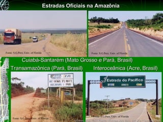 Cuiab á-Santarém (Mato Grosso e Par á, Brasil ) Interoce â nica (Acre, Brasil) Transamaz ô nica  (Par á, Brasil ) Estradas Oficiais na Amaz ô nia Fonte: S.G.Perz, Univ. of Florida Fonte: S.G.Perz, Univ. of Florida Fonte: S.G.Perz, Univ. of Florida Fonte: S.G.Perz, Univ. of Florida S.G.Perz, et al., Univ. Florida, Michigan State Univ,  IMAZON (sperz@ufl.edu) 