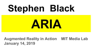 ARIA
Augmented Reality in Action MIT Media Lab
January 14, 2019
Stephen Black
 