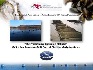 The Shellfish Association of Great Britain's 43rd Annual Conference




          “The Promotion of Cultivated Molluscs”
Mr Stephen Cameron – M.D. Scottish Shellfish Marketing Group
 