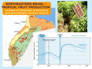 Poços
Sumidouros
NORTHEASTERN BRASIL –
TROPICAL FRUIT PRODUCTION
excessive waterwell drawdowns
and groundwater polltion hazard
 