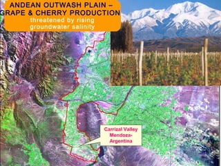 rh5
Carrizal Valley
Mendoza-
Argentina
ANDEAN OUTWASH PLAIN –
GRAPE & CHERRY PRODUCTION
threatened by rising
groundwater salinity
 
