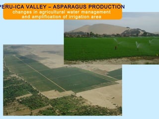 PERU-ICA VALLEY – ASPARAGUS PRODUCTION
changes in agricultural water management
and amplification of irrigation area
 