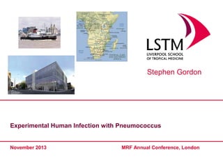 Stephen Gordon

Experimental Human Infection with Pneumococcus

November 2013

MRF Annual Conference, London

 