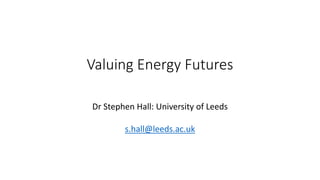 Valuing Energy Futures
Dr Stephen Hall: University of Leeds
s.hall@leeds.ac.uk
 