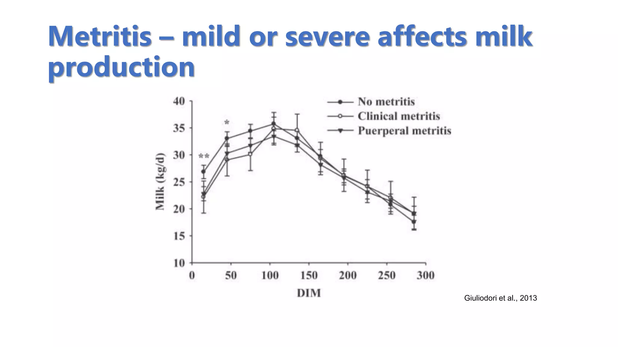 Metrite Uterine Health in Dairy Cows | PDF