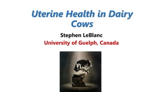 Uterine Health in Dairy
Cows
Stephen LeBlanc
University of Guelph, Canada
 