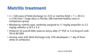 Metrite Uterine Health in Dairy Cows | PDF