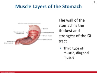 Stephenson 2ed_ch04_lecture_PPT.pptx