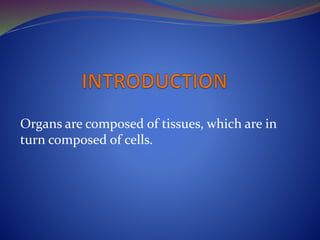 Organs are composed of tissues, which are in
turn composed of cells.
 