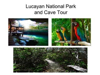 Lucayan National Park
   and Cave Tour
 