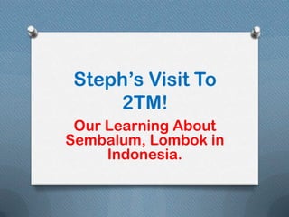 Steph’s Visit To
    2TM!
 Our Learning About
Sembalum, Lombok in
     Indonesia.
 