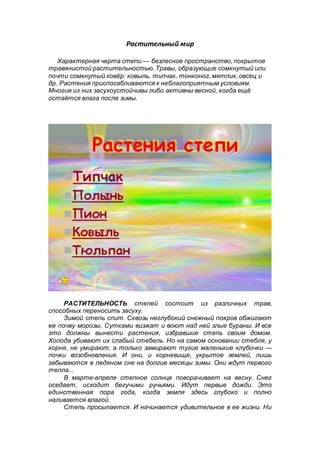 Растительный мир
Характерная черта степи — безлесное пространство, покрытое
травянистой растительностью. Травы, образующие сомкнутый или
почти сомкнутый ковёр: ковыль, типчак, тонконог, мятлик, овсец и
др. Растения приспосабливаются к неблагоприятным условиям.
Многие из них засухоустойчивы либо активны весной, когда ещё
остаётся влага после зимы.
РАСТИТЕЛЬНОСТЬ степей состоит из различных трав,
способных переносить засуху.
Зимой степь спит. Сквозь неглубокий снежный покров обжигают
ее почву морозы. Сутками визжат и воют над ней злые бураны. И все
это должны вынести растения, избравшие степь своим домом.
Холода убивают их слабый стебель. Но на самом основании стебля, у
корня, не умирают, а только замирают тугие маленькие клубочки —
почки возобновления. И они, и корневище, укрытое землей, лишь
забываются в ледяном сне на долгие месяцы зимы. Они ждут первого
тепла...
В марте-апреле степное солнце поворачивает на весну. Снег
оседает, исходит бегучими ручьями. Идут первые дожди. Это
единственная пора года, когда земля здесь глубоко и полно
наливается влагой.
Степь просыпается. И начинается удивительное в ее жизни. Ни
 