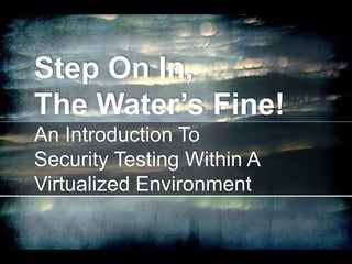 Step On In, 
The Water’s Fine! 
An Introduction To 
Security Testing Within A 
Virtualized Environment 
 