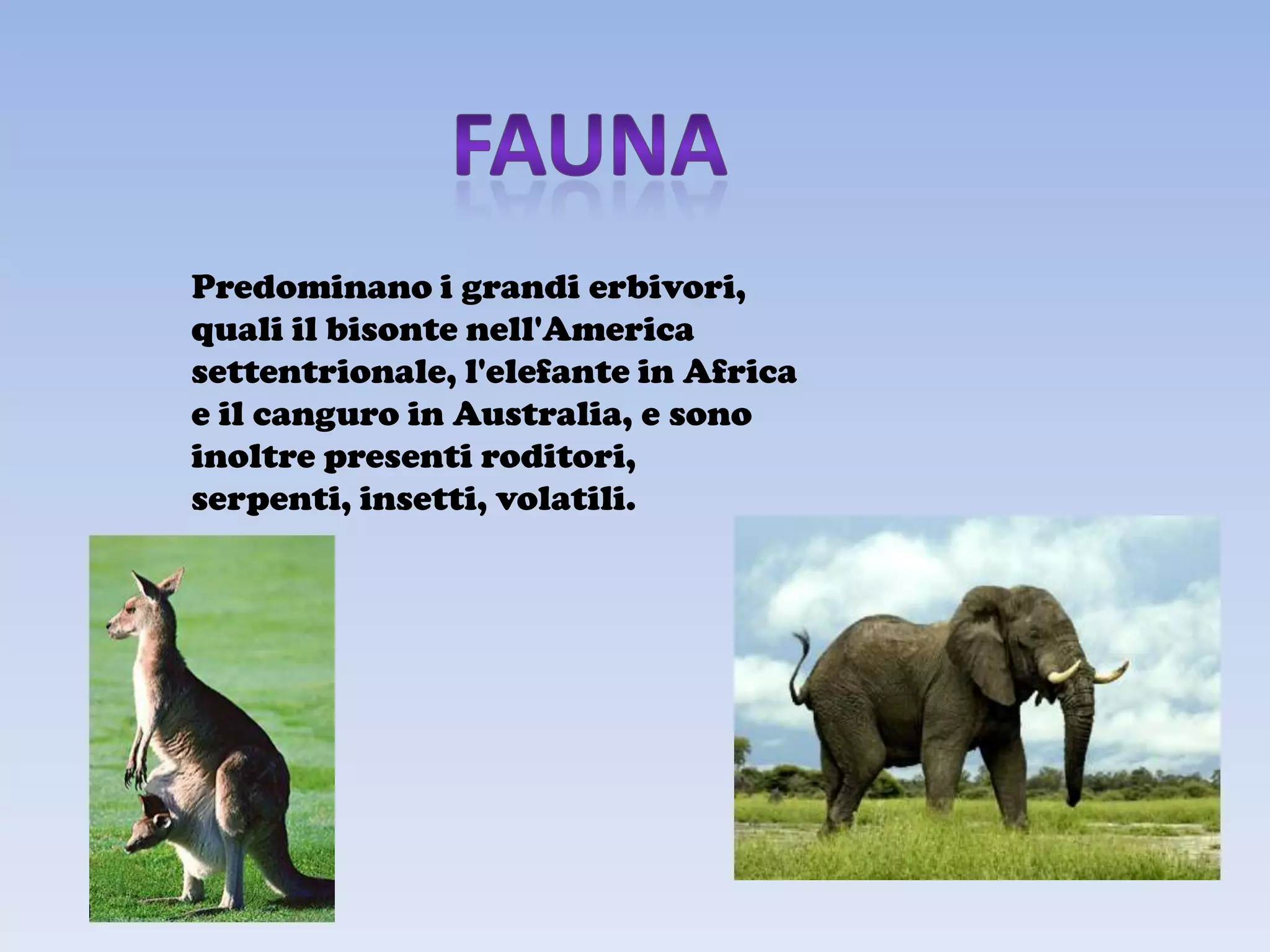 Predominano i grandi erbivori,
quali il bisonte nell'America
settentrionale, l'elefante in Africa
e il canguro in Australia, e sono
inoltre presenti roditori,
serpenti, insetti, volatili.
 