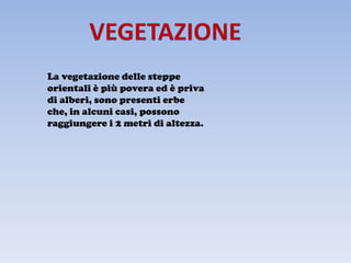 La vegetazione delle steppe
orientali è più povera ed è priva
di alberi, sono presenti erbe
che, in alcuni casi, possono
raggiungere i 2 metri di altezza.
 