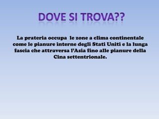 La prateria occupa le zone a clima continentale
come le pianure interne degli Stati Uniti e la lunga
 fascia che attraversa l’Asia fino alle pianure della
                Cina settentrionale.
 