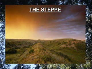 THE STEPPETHE STEPPE
 