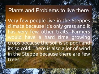 Plants and Problems to live there
●
Very few people live in the Steppes
climate because it's only grass and it
has very few other traits. Farmers
would have a hard time growing
crops because the soil is so poor and
its so cold. There is also a lot of wind
in the Steppe because there are few
trees.
 