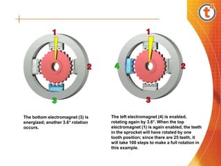 The bottom electromagnet (3) is
energized; another 3.6° rotation
occurs.
The left electromagnet (4) is enabled,
rotating again by 3.6°. When the top
electromagnet (1) is again enabled, the teeth
in the sprocket will have rotated by one
tooth position; since there are 25 teeth, it
will take 100 steps to make a full rotation in
this example.
 