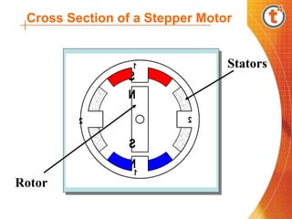 2 2
1
N
S
1
S
N
Stators
Rotor
Cross Section of a Stepper Motor
 