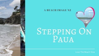 Stepping On
Paua 
Love The Beach View
A BEACH IMAGE NZ
 