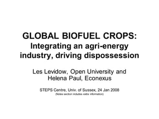 GLOBAL BIOFUEL CROPS:
   Integrating an agri-energy
industry, driving dispossession
   Les Levidow, Open University and
        Helena Paul, Econexus
     STEPS Centre, Univ. of Sussex, 24 Jan 2008
             (Notes section includes extra information)
 