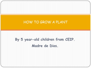 By 5 year-old children from CEIP.
Madre de Dios.
HOW TO GROW A PLANT
 
