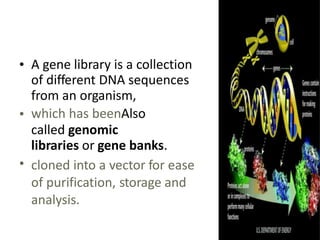 Library Cloning Steps and strategies of gene cloning & DNA libraries.pptx