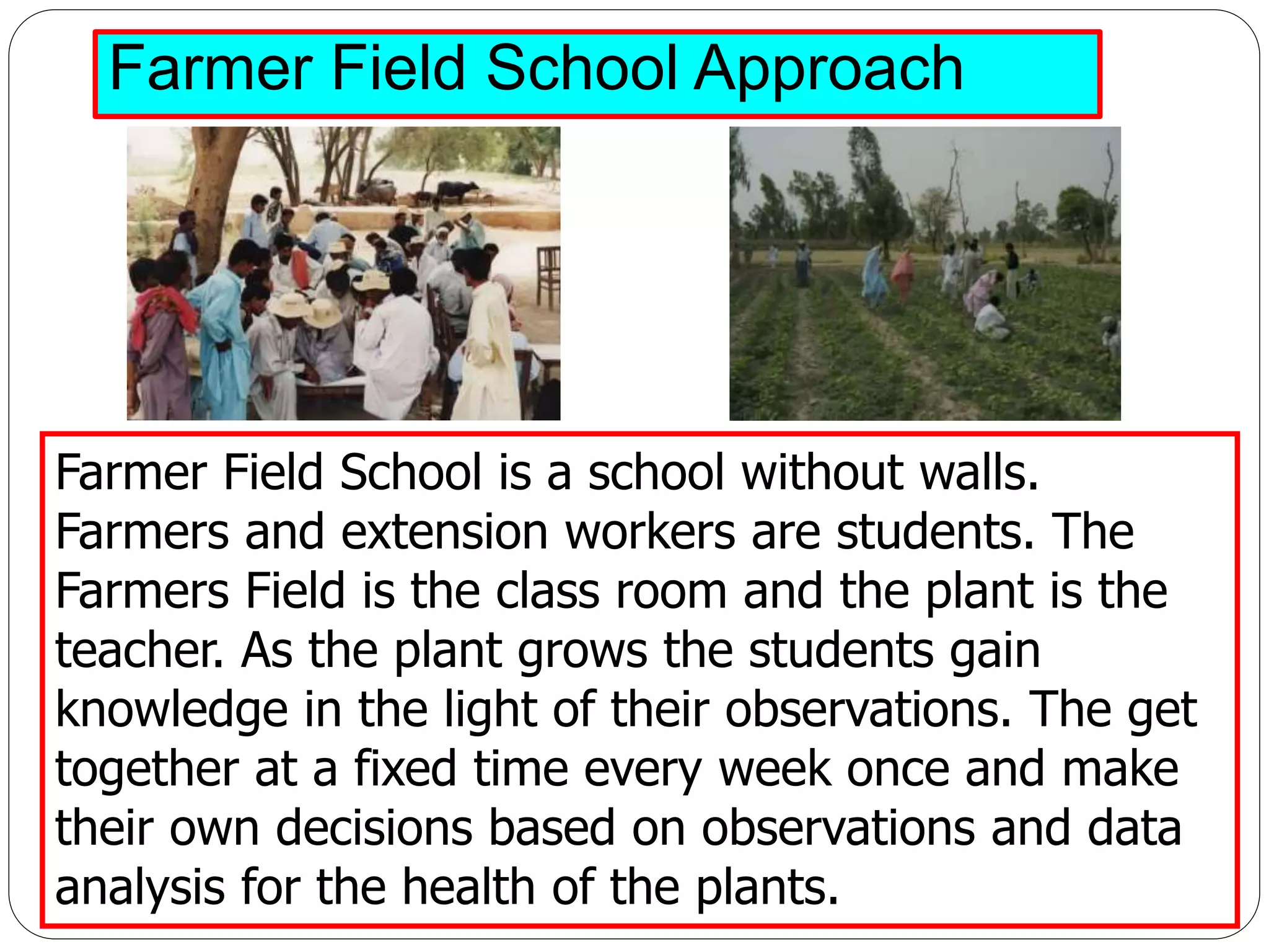 Farmer Field School Approach
Farmer Field School is a school without walls.
Farmers and extension workers are students. The
Farmers Field is the class room and the plant is the
teacher. As the plant grows the students gain
knowledge in the light of their observations. The get
together at a fixed time every week once and make
their own decisions based on observations and data
analysis for the health of the plants.
 