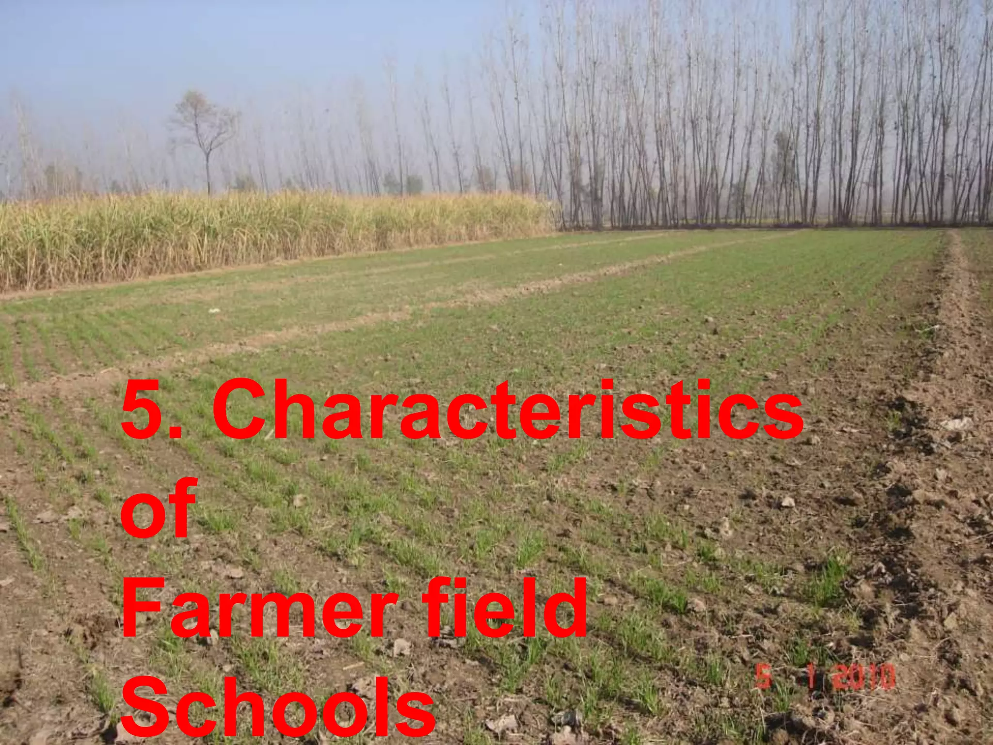 5. Characteristics
of
Farmer field
Schools
 