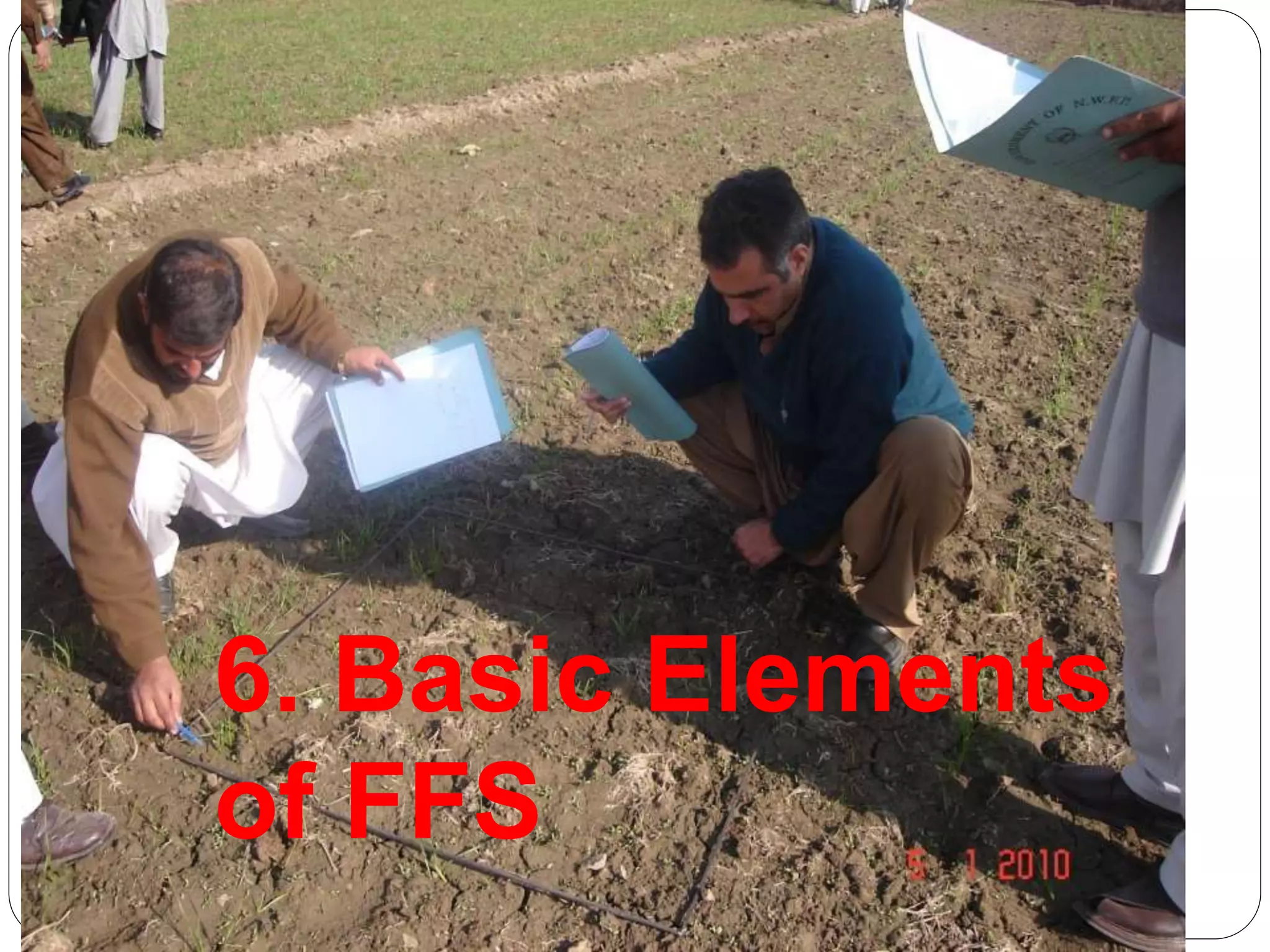 6. Basic Elements
of FFS
 