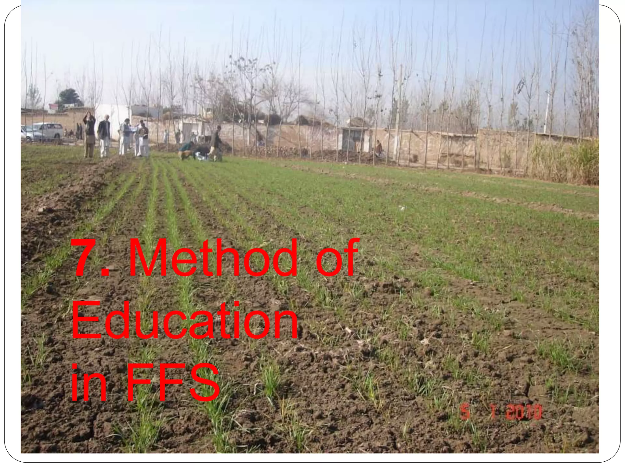 7. Method of
Education
in FFS
 