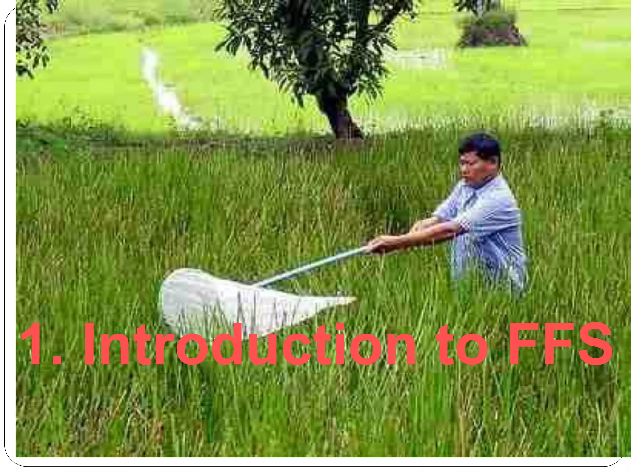 1. Introduction to FFS
 